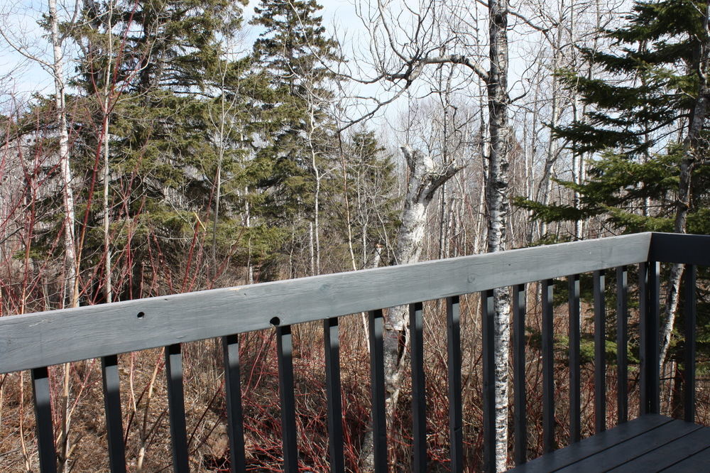 Superior Ridge Resort Motel Schroeder Bagian luar foto
